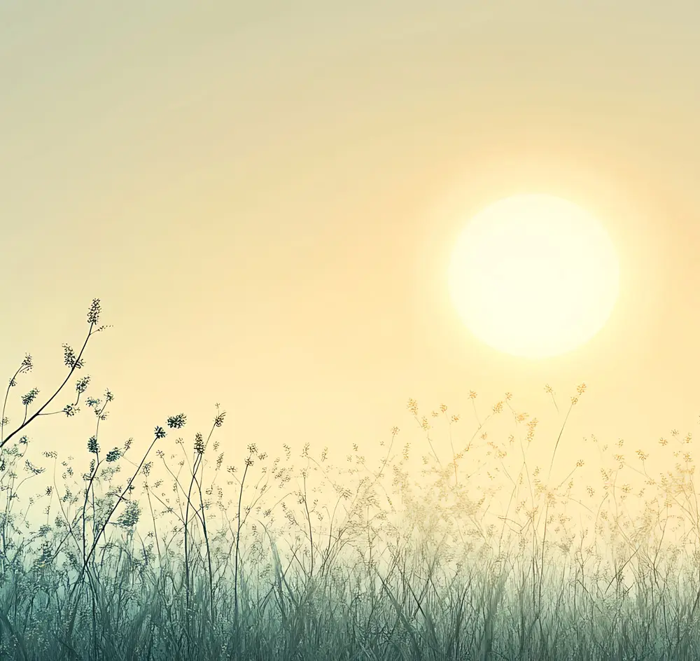 A peaceful sunrise over a meadow