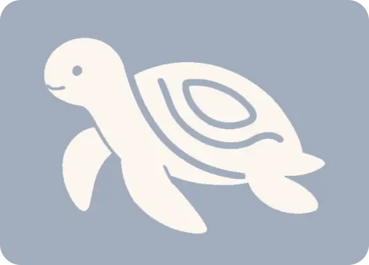 koa with blue background